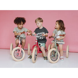 TRYBIKE- Convertable balance bike