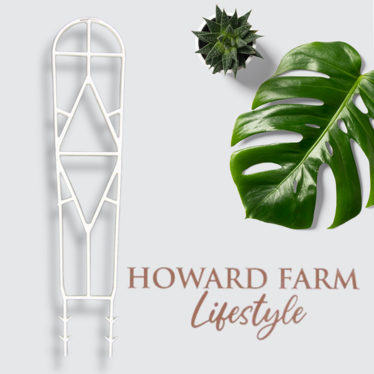 Plant Ladder - White local collection only Please. Too long 4 post orders.